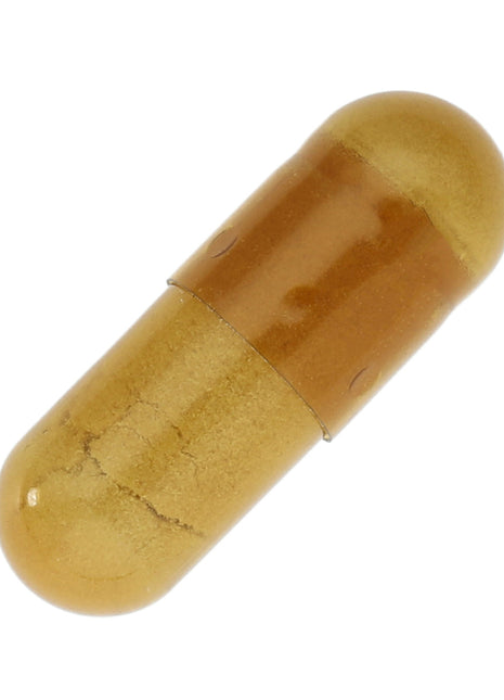 保阪流極ナットウキナーゼ