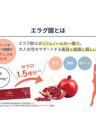 命のザクロ 熟成発酵ペースト 30包