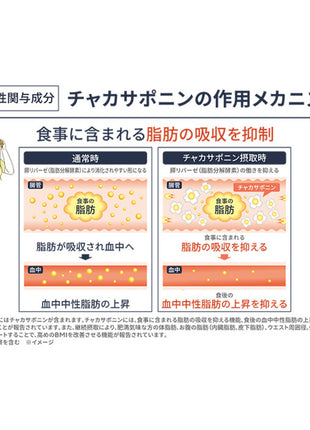 保阪流極 ファットカット 約30日分