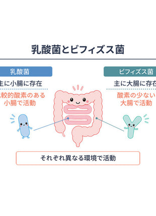 保阪流極 兆勝 約30日分